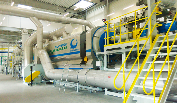 2. HungarianScaptirepyrolysepflanze