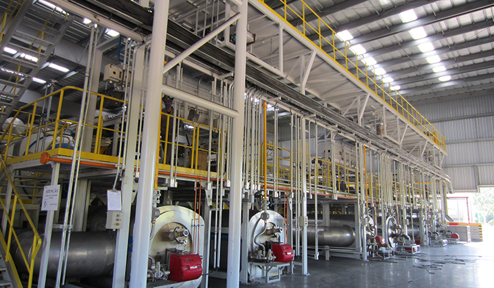 3. Brasilianercraptirepyrolysepflanzen