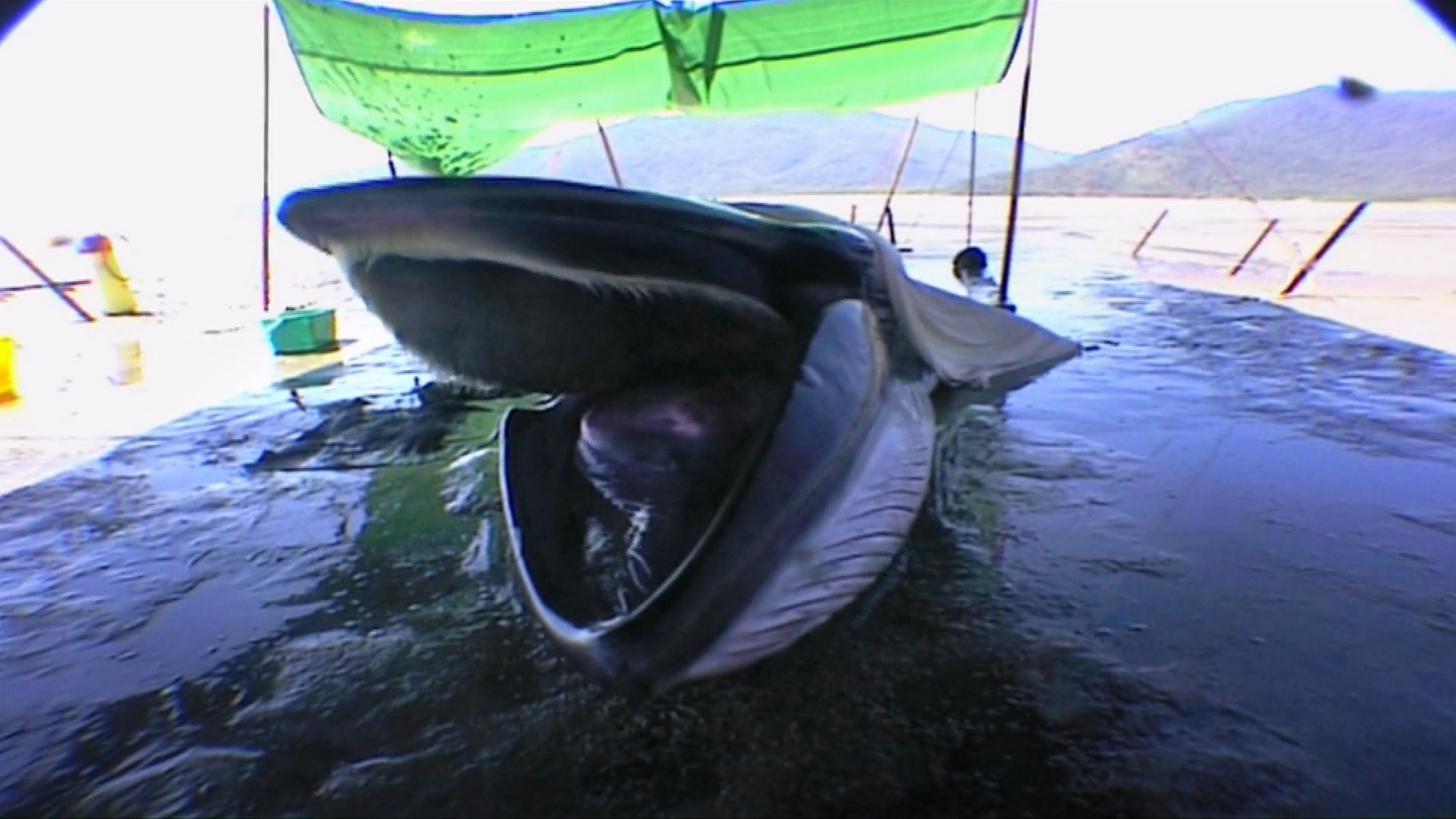 waste plastic disposal